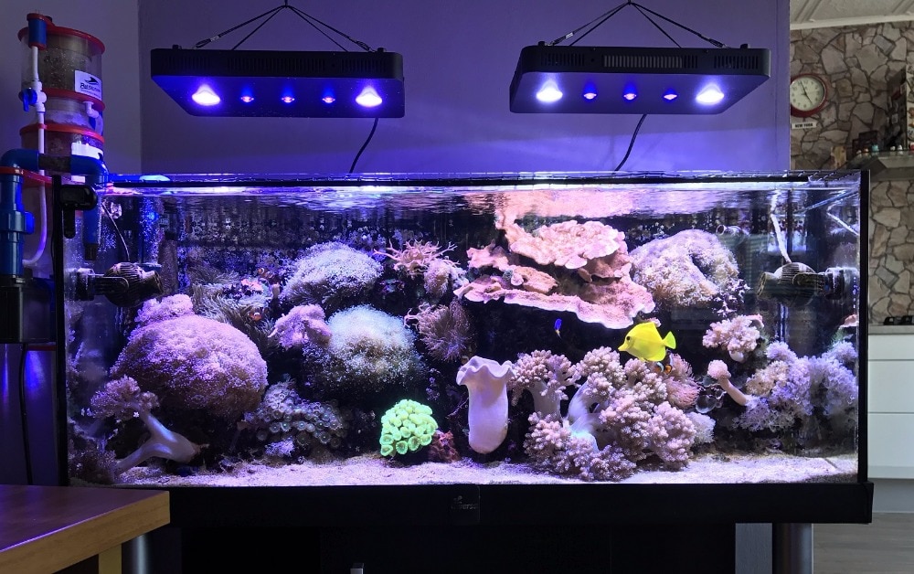 planted aquarium lighting